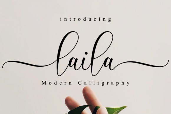 Laila Script: A Classy Script Font for Modern Branding & Social Campaigns