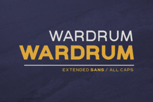 Wardrum: A Bold, Clean Sans Serif Font for Modern Branding